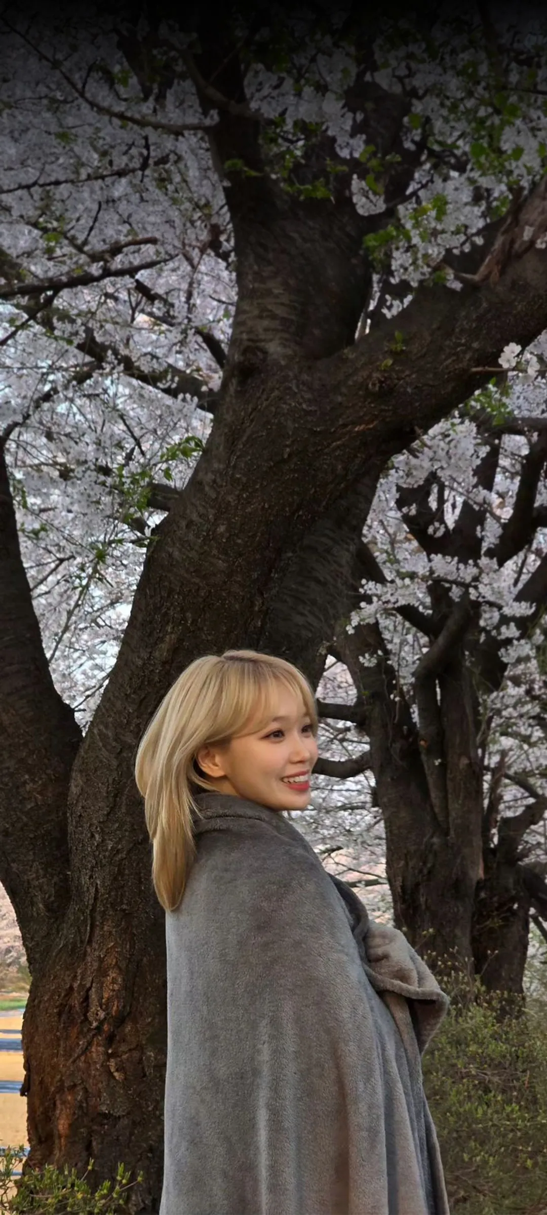 Kim Chae-won lock screen phone wallpaper 4K HD download — IZ*ONE, LE SSERAFIM