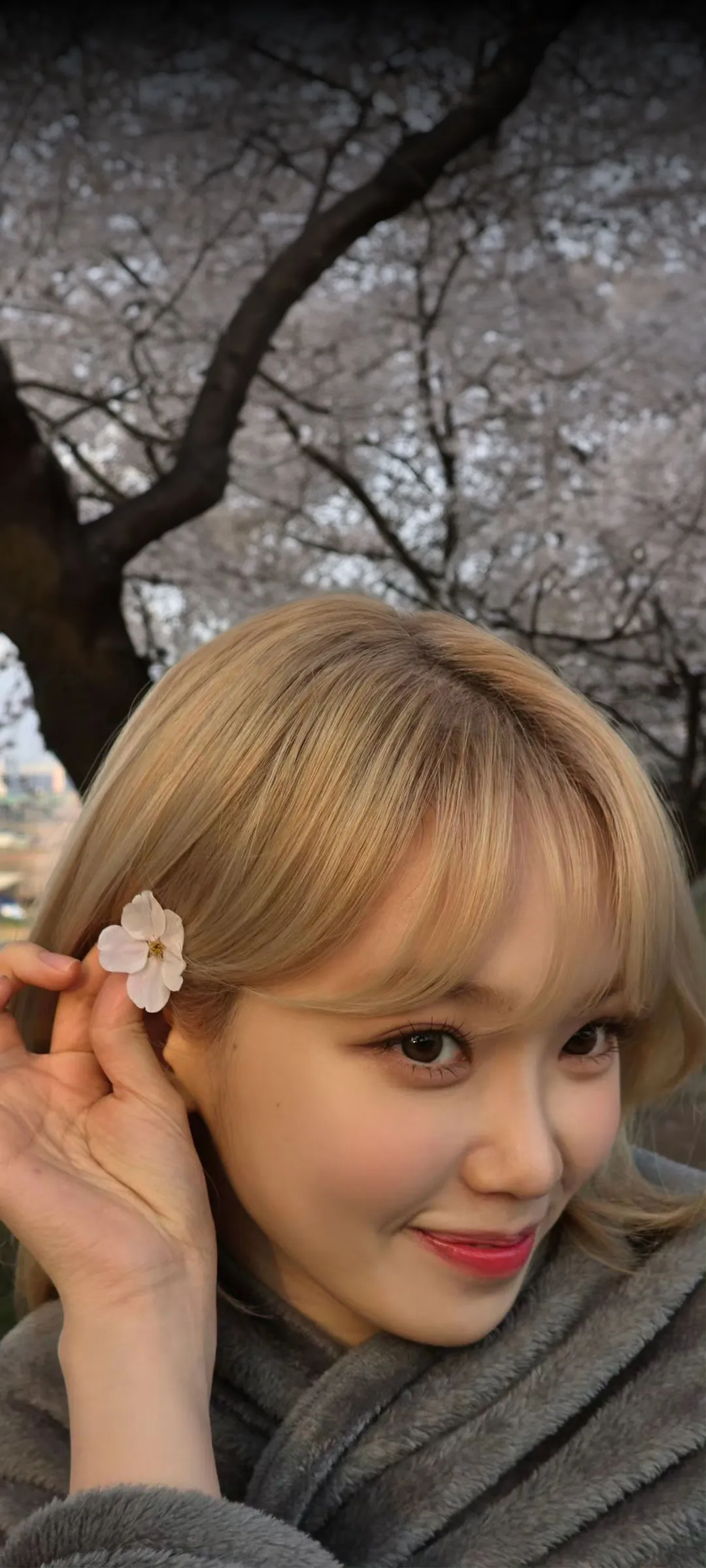 Wallpaper layar kunci hp Kim Chae-won 4K HD download — IZ*ONE, LE SSERAFIM