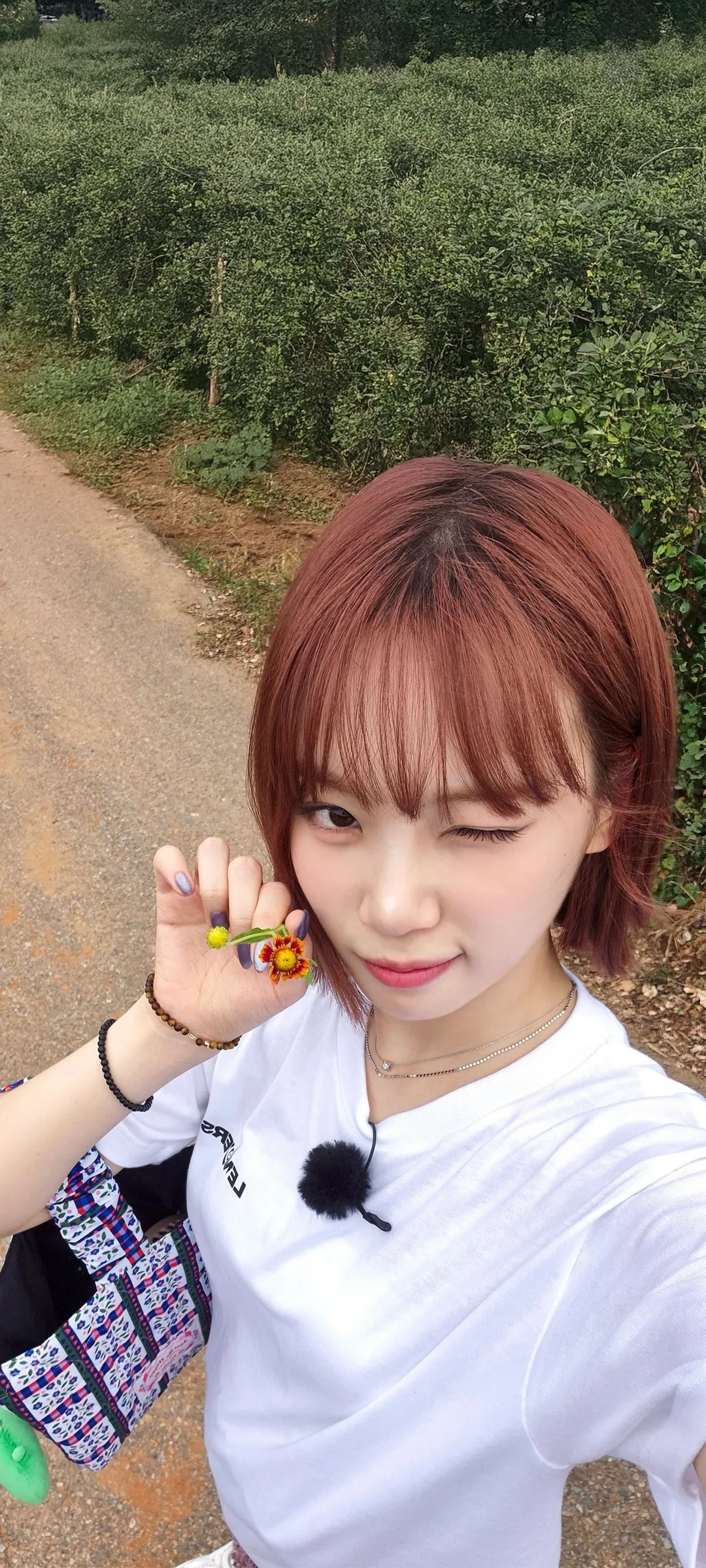 วอลเปเปอร์ หน้าจอล็อก มือถือ คิม แชวอน 4K HD ดาวน์โหลด — IZ*ONE, LE SSERAFIM