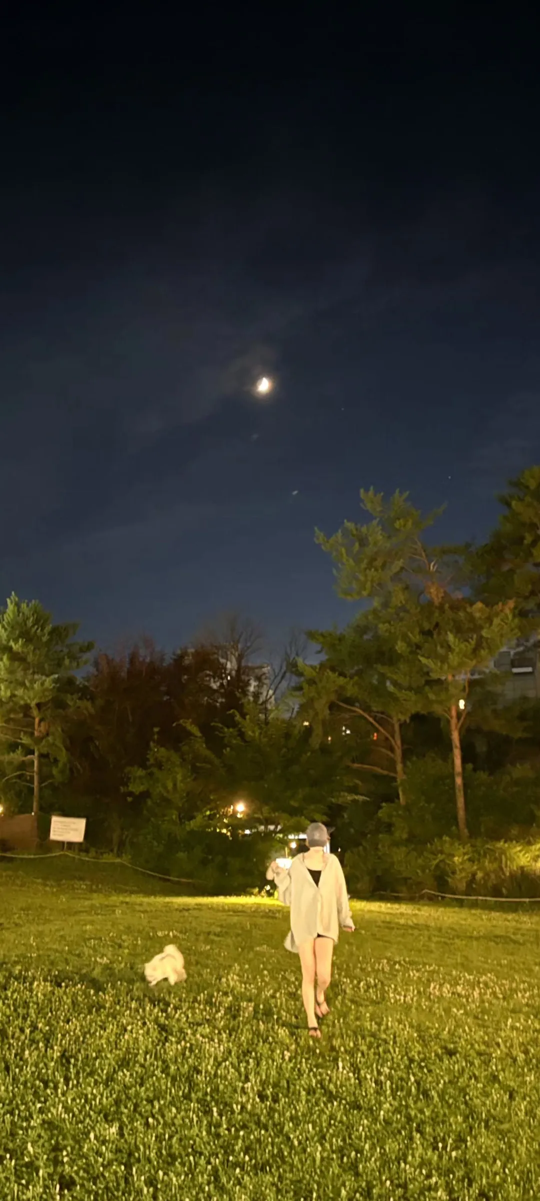 김채원 잠금화면 폰 배경화면 4K HD 다운로드 — 아이즈원, 르세라핌