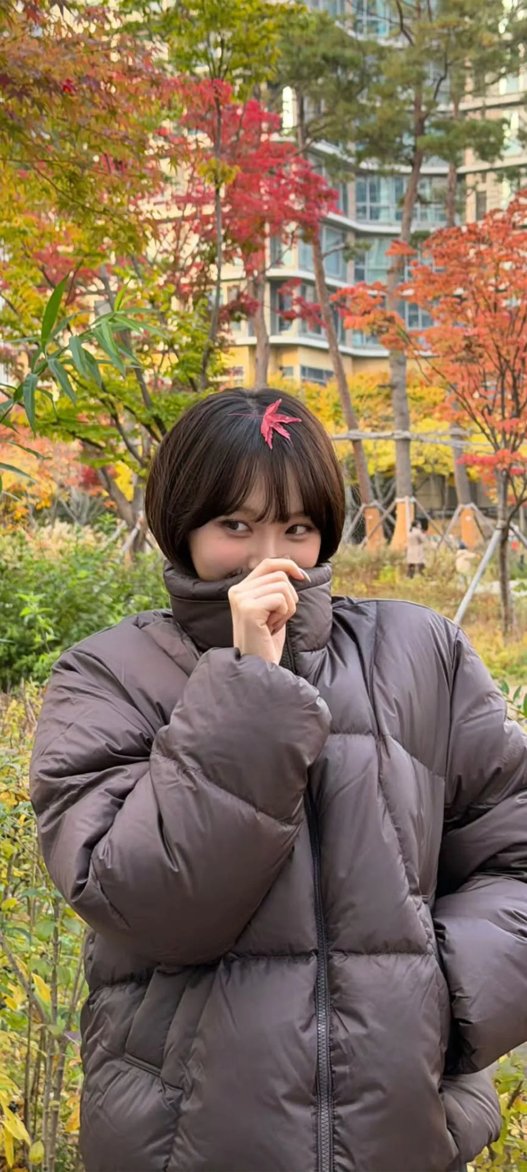 김채원 잠금화면 폰 배경화면 4K HD 다운로드 — 아이즈원, 르세라핌