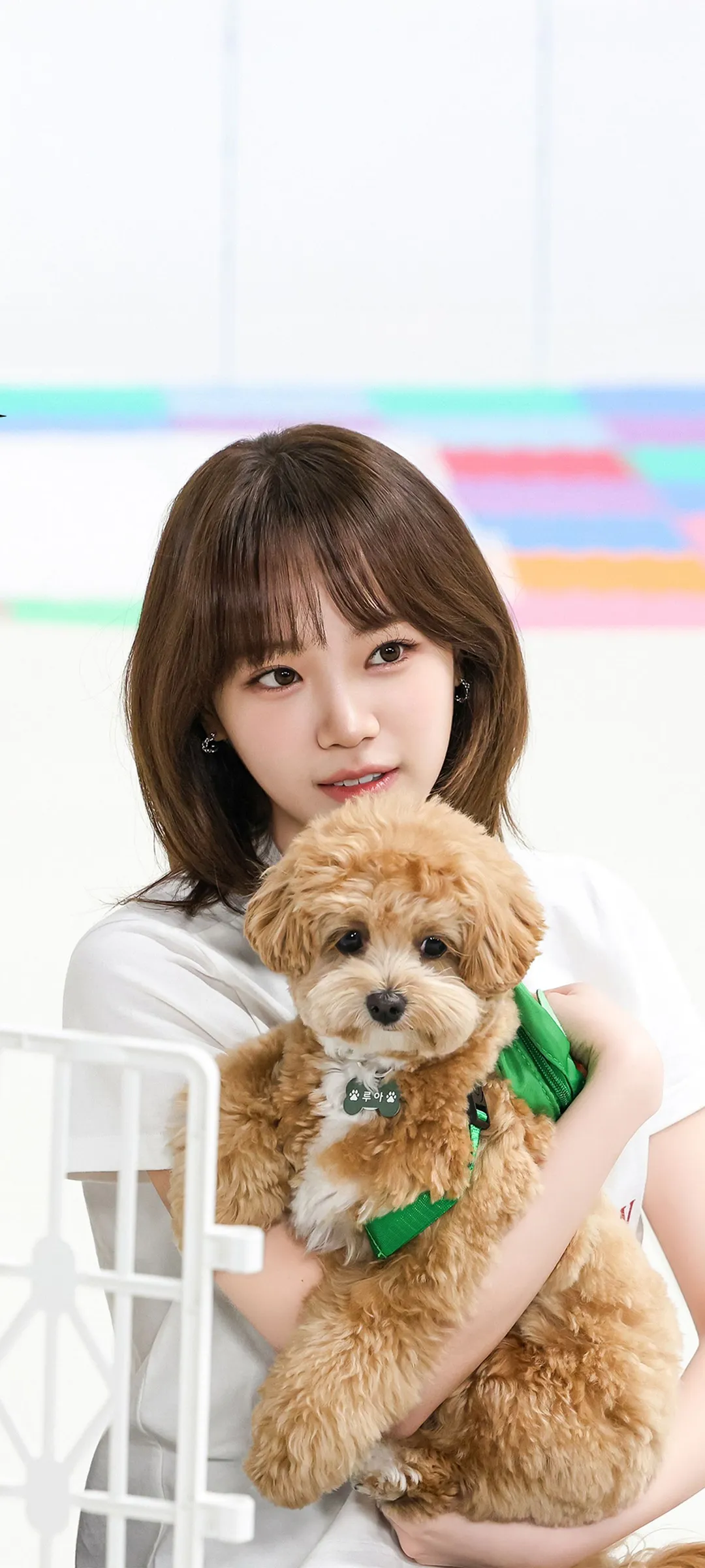 김채원 잠금화면 폰 배경화면 4K HD 다운로드 — 아이즈원, 르세라핌