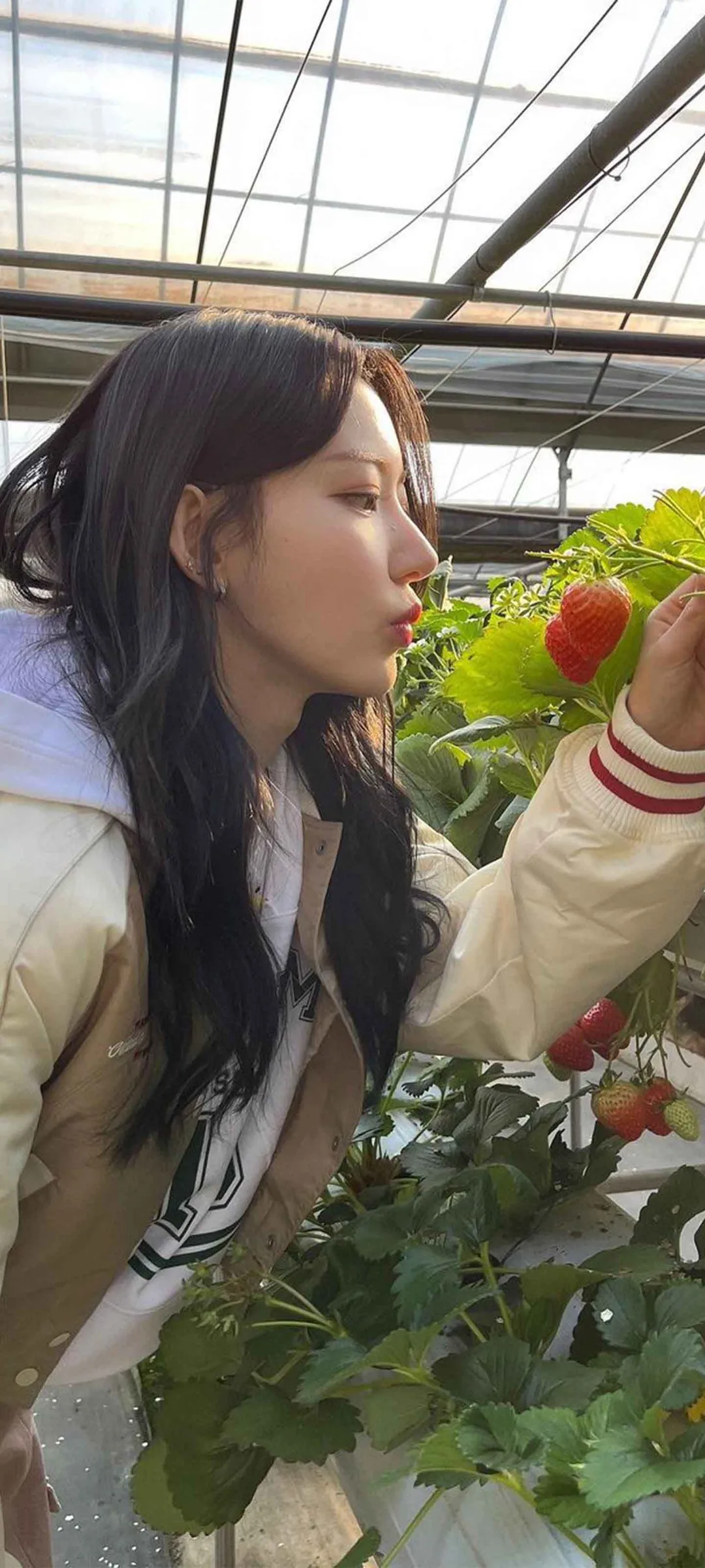 Fond d'écran de verrouillage mobile Sakura Miyawaki 4K HD télécharger — IZ*ONE, LE SSERAFIM