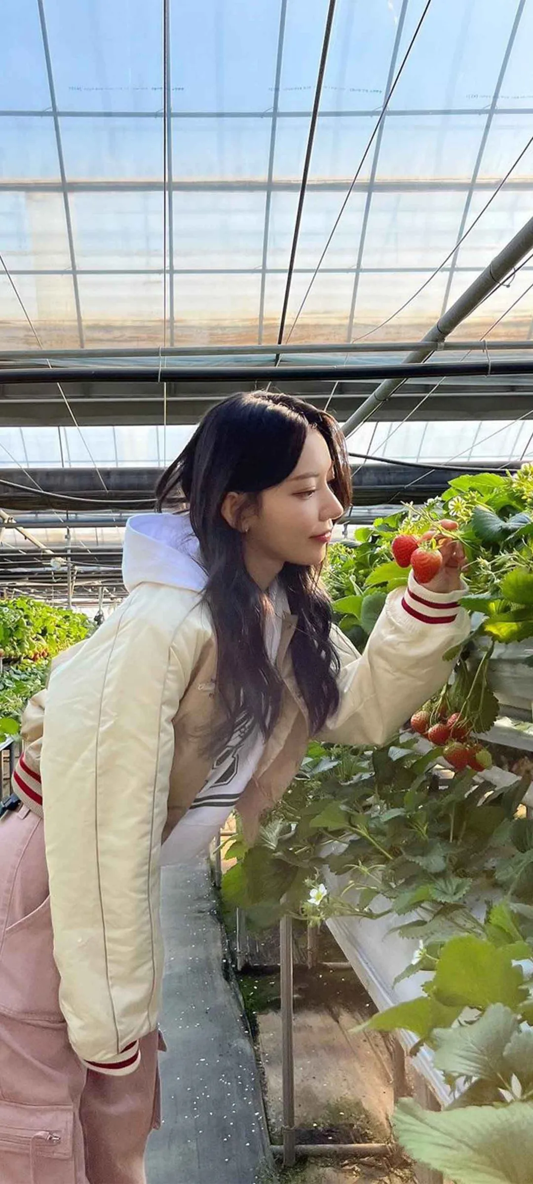 Fond d'écran de verrouillage mobile Sakura Miyawaki 4K HD télécharger — IZ*ONE, LE SSERAFIM