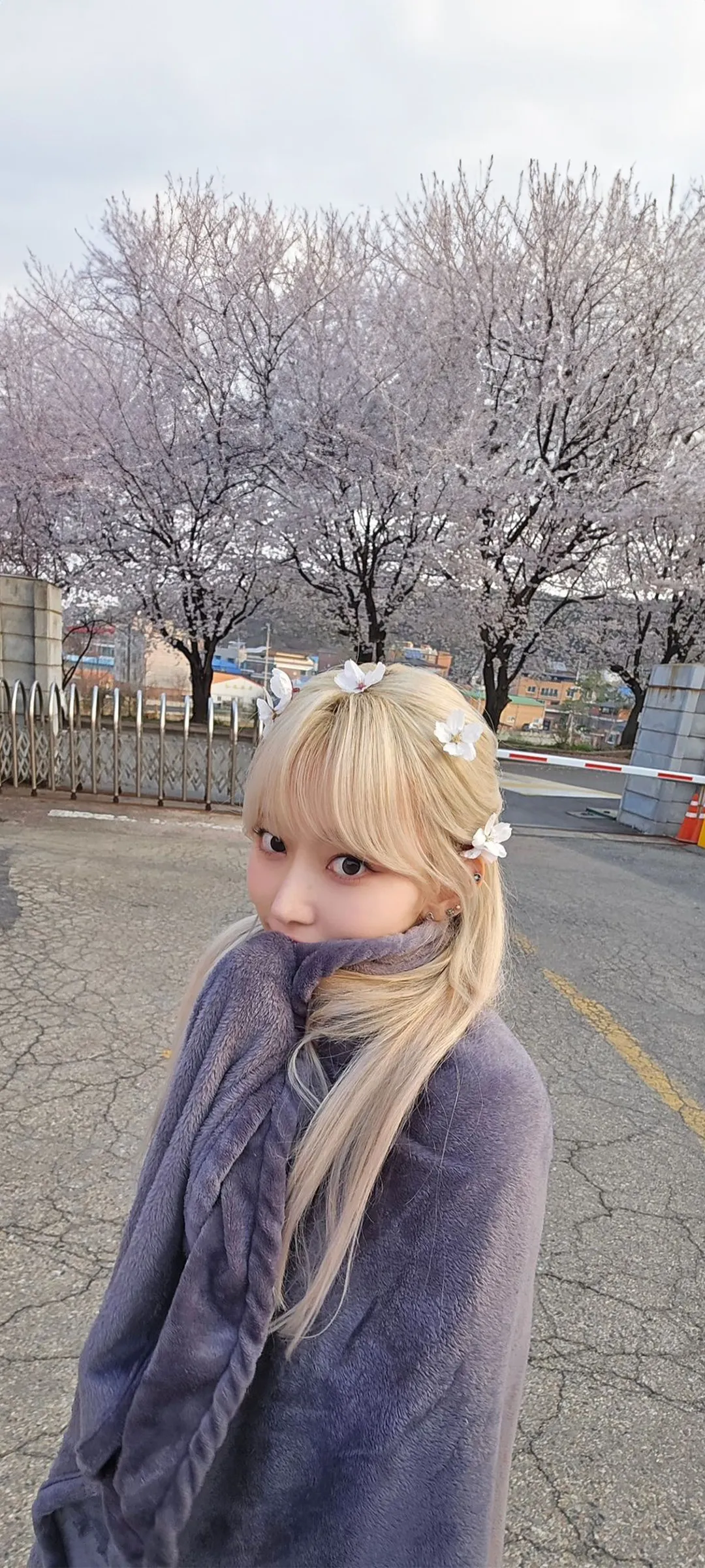Fond d'écran de verrouillage mobile Sakura Miyawaki 4K HD télécharger — IZ*ONE, LE SSERAFIM