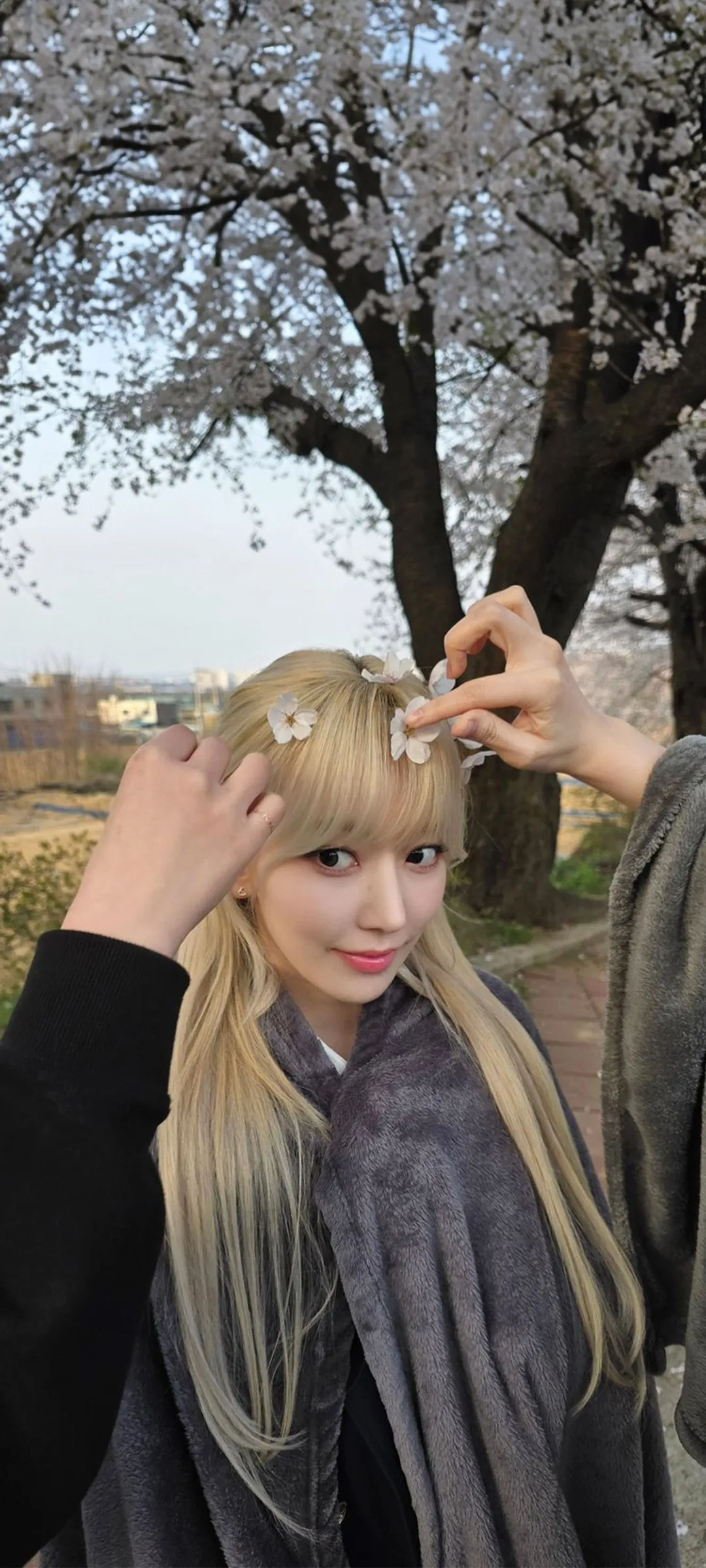 Fond d'écran de verrouillage mobile Sakura Miyawaki 4K HD télécharger — IZ*ONE, LE SSERAFIM