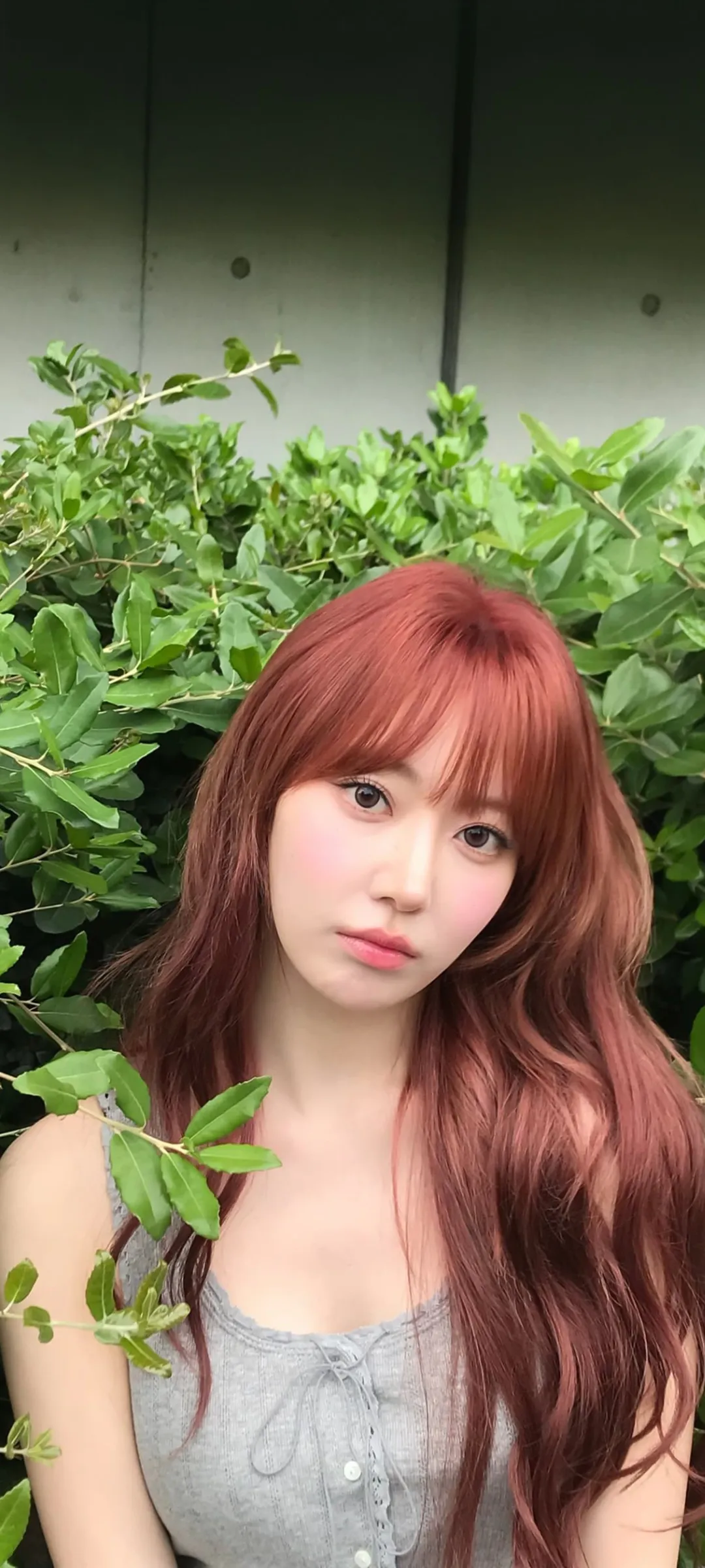 Fond d'écran de verrouillage mobile Sakura Miyawaki 4K HD télécharger — IZ*ONE, LE SSERAFIM