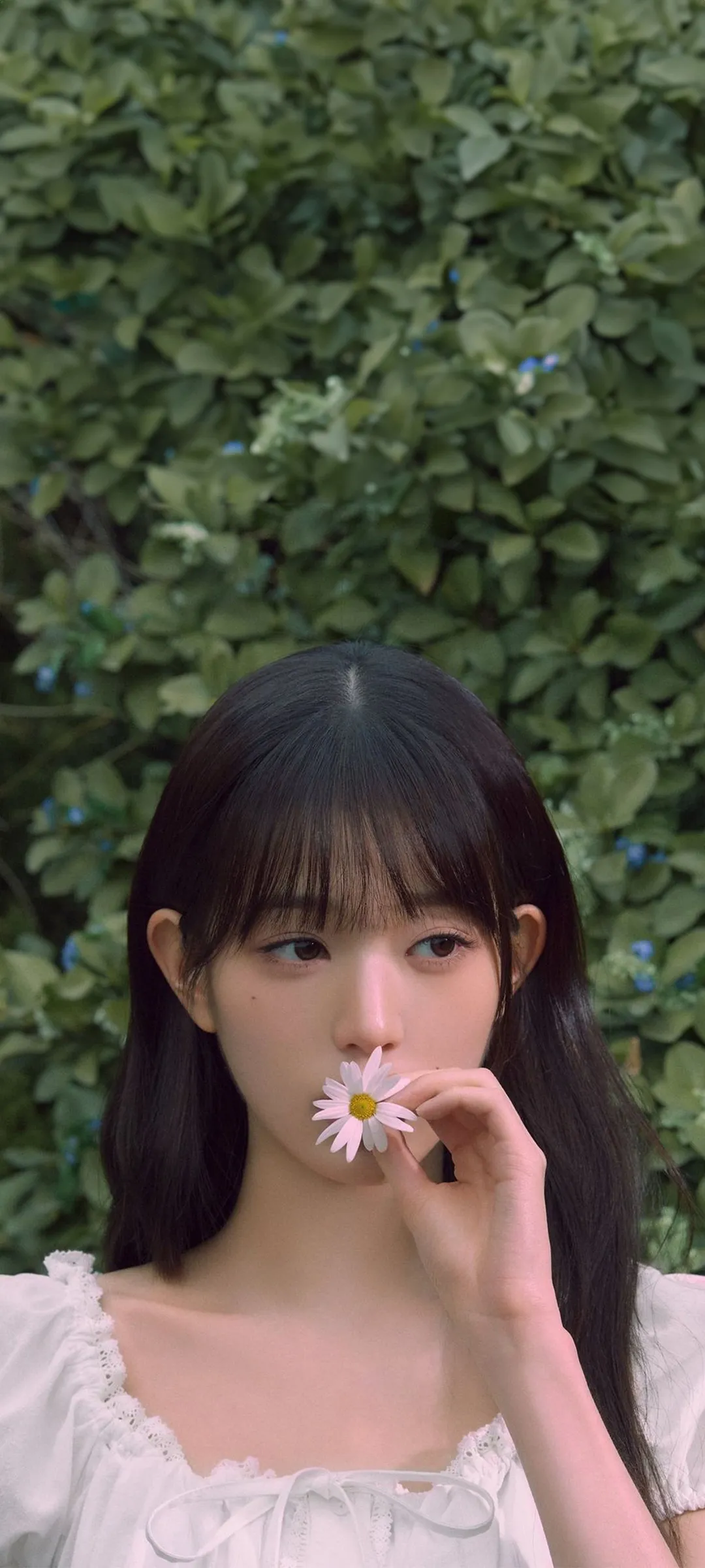วอลเปเปอร์ หน้าจอล็อก มือถือ จาง วอนยอง 4K HD ดาวน์โหลด — IZ*ONE, IVE