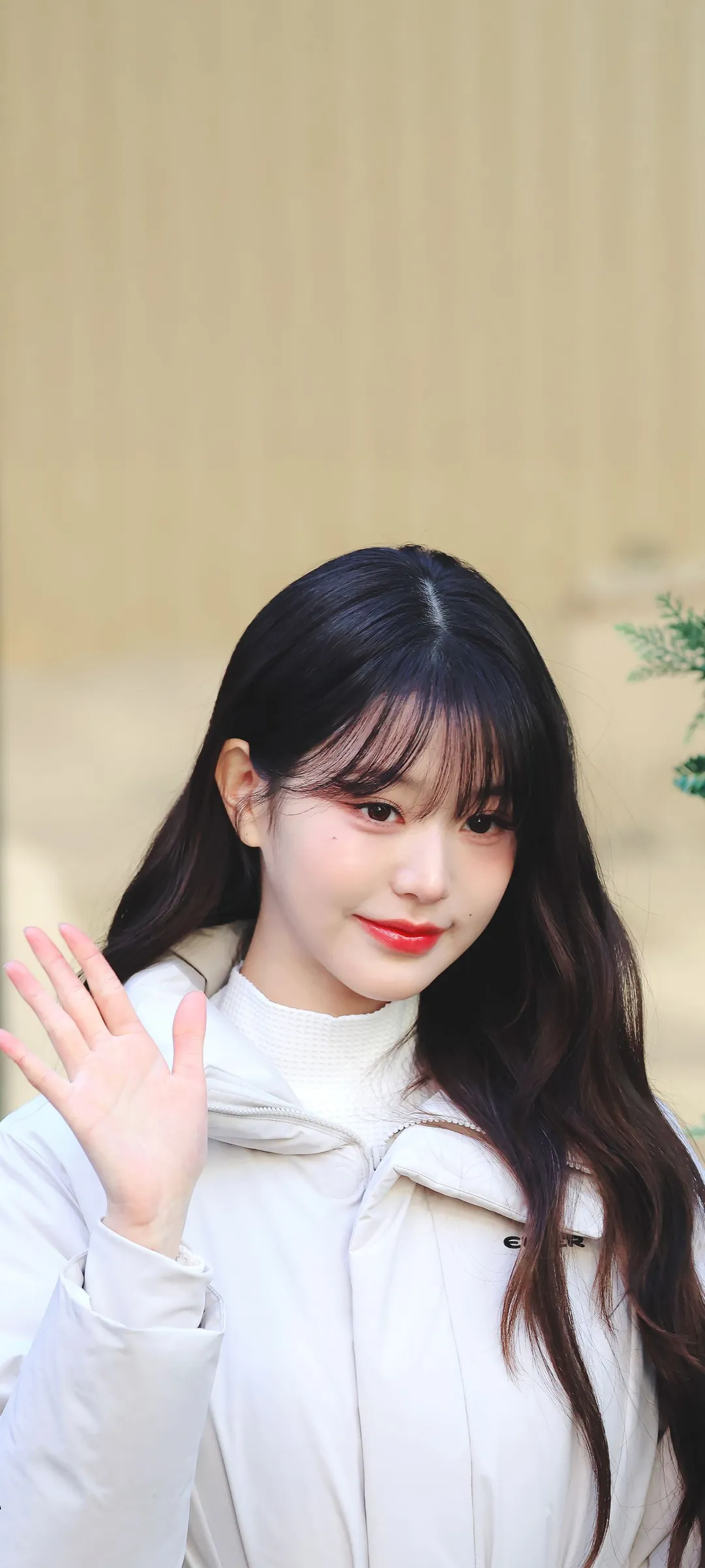 วอลเปเปอร์ หน้าจอล็อก มือถือ จาง วอนยอง 4K HD ดาวน์โหลด — IZ*ONE, IVE