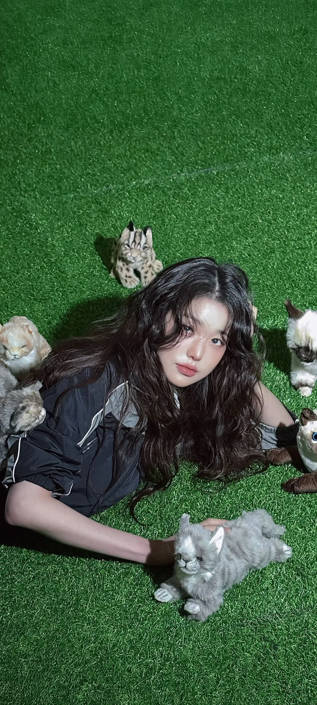 วอลเปเปอร์ หน้าจอล็อก มือถือ จาง วอนยอง 4K HD ดาวน์โหลด — IZ*ONE, IVE